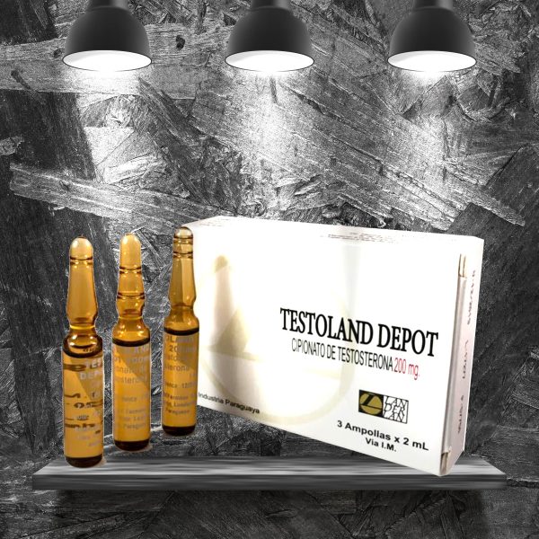 Testoland landerlan 200mg/6ml